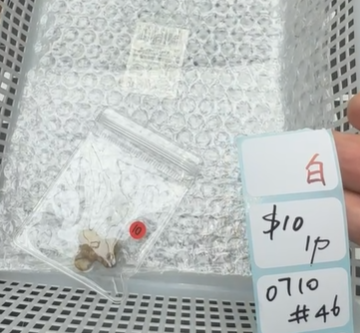 KIKICRYSTAL Shop Claim Sale For 0710