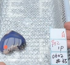 KIKICRYSTAL Shop Claim Sale For 0602
