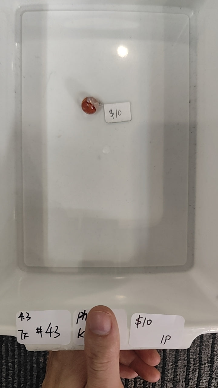 KIKICRYSTAL Jewelry Claim Sale For 0403