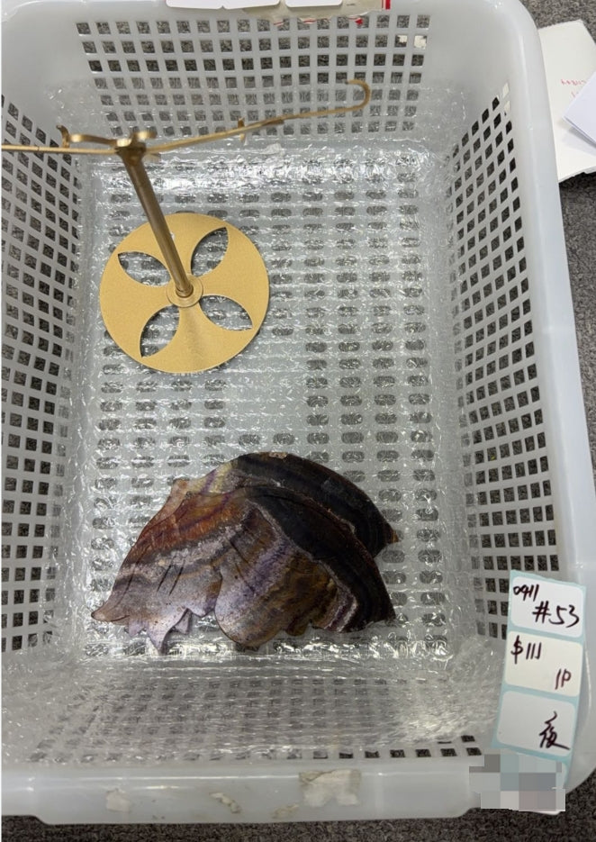 KIKICRYSTAL Shop Claim Sale For 0411