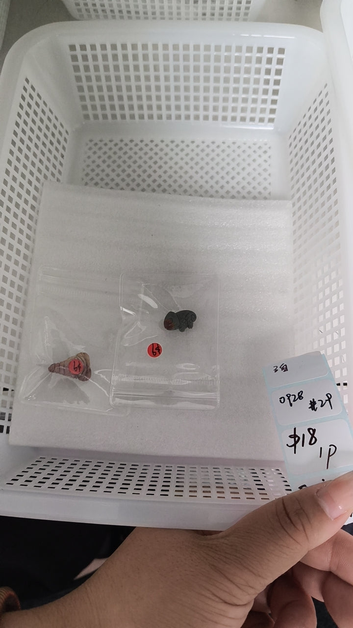 KIKICRYSTAL Shop Claim Sale For 0928